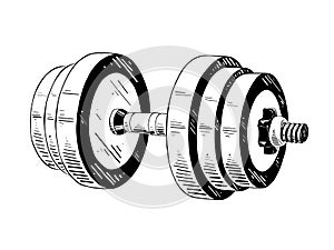 Hand drawn sketch of dumbbell in black isolated on white background. Detailed vintage etching style drawing.