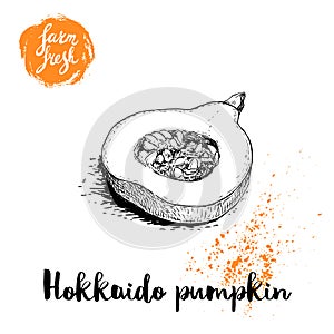 Hand drawn sketch half of hokkaido pumpkin. Kuri with seeds and slice. Autumn fruit. Seasonal symbol. Healthy nutrition vector ill