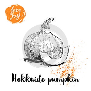Hand drawn sketch hokkaido pumpkin. Kuri with seeds and slice. Autumn fruit. Seasonal symbol. Healthy nutrition vector illustratio