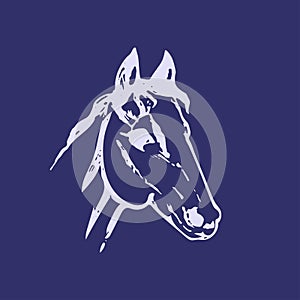 Hand drawn sketch of horse head. Lline drawing. Blue colors. Mustang portrait. Vector animal illustration.