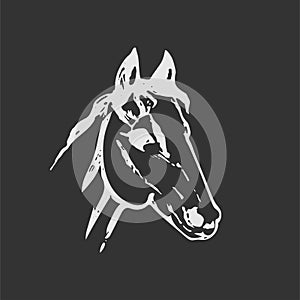 Hand drawn sketch of horse head. White line drawing isolated on dark gray background. Mustang portrait. Vector animal illustration