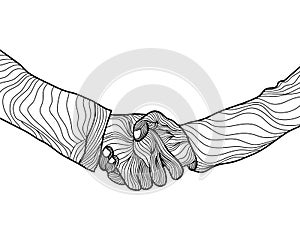 Hand drawn sketch illustration of a handshake. Shaking hands business on line art style. isolated on white background