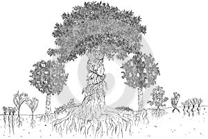 Hand drawn sketch illustration of a schema of permaculture