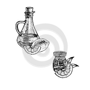 Hand drawn sketch of lemon peel oil. Extract of plant. Vector illustration
