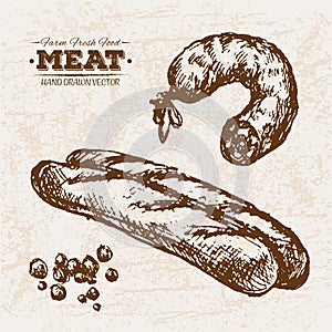 Hand drawn sketch meat sausage and bread