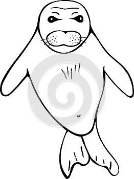 Hand drawn sketch of Monk Seal photo