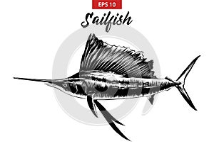 Hand drawn sketch of sailfish in black isolated on white background. Detailed vintage etching style drawing.