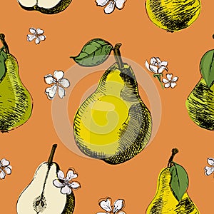 Hand drawn sketch seamless pattern of pears.Vintage ink vector of different pears and flowers of pear on orange