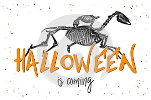 Hand drawn sketch of skeleton of headless horseman with modern typography text. Detailed vintage etching style, Halloween is comin photo