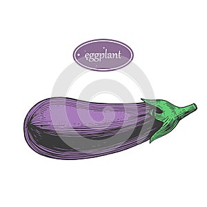 Hand drawn sketch stile color eggplant
