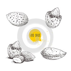 Hand drawn sketch style almond set. Single, group seeds and almond in nutshell. Organic food vector illustrations collection