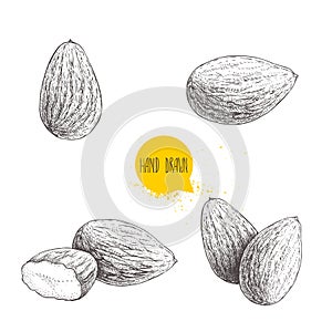 Hand drawn sketch style almond set. Single, group seeds. Organic food vector illustration