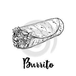 Hand drawn sketch style burrito wrap. Traditional Mexican cuisine illustration. Fast food. Street food drawing.