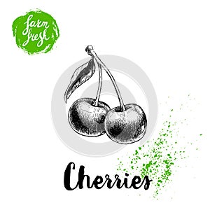 Hand drawn sketch style cherries poster. Group farm fresh berries with leaf. Eco food fruits vector