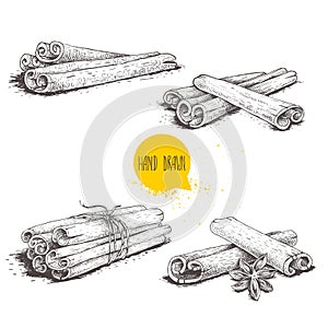 Hand drawn sketch style cinnamon sticks set. Tied with twine, with star anise and bunches. Isolated on white background.