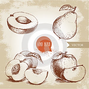 Hand drawn sketch style fruits set. Apricot half, peaches , whole pear, apples. Eco food vector illustration