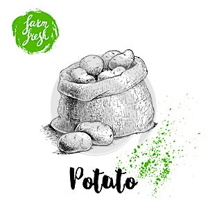 Hand drawn sketch style illustration of ripe potatoes in burlap bag. Farm fresh vector illustration poster.