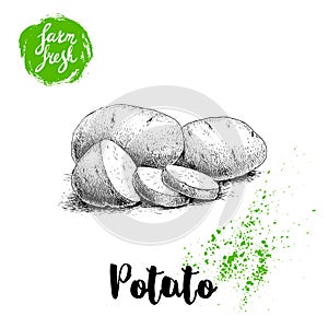 Hand drawn sketch style illustration of ripe potatoes and slices. Farm fresh vector illustration poster.