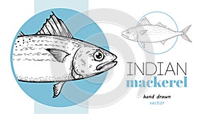 Hand drawn sketch style Indian Mackerel template. Fish restaurant menu element.