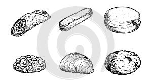 Hand drawn sketch style Italian pastry set. Cannoli, savoyardi, bombolone, pignoli, sfogliatelle, amaretti.