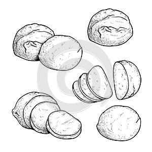 Hand drawn sketch style mozzarella cheese set. Traditional Italian soft cheese. Single, in group, whole and sliced, top view. Vect