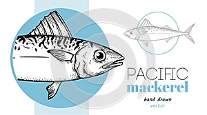 Hand drawn sketch style Pacific Mackerel. Design template. Fish restaurant menu element.