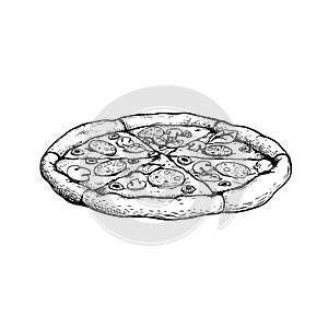 Hand drawn sketch style pizza. Fresh baked traditional italian pizza with salami, sliced mushrooms and olives. Best for packaging,