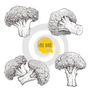 Hand drawn sketch style set illustrations of broccoli. Healthy ecological food vintage vector illustration.