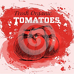 Hand drawn sketch style tomatoes
