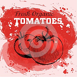 Hand drawn sketch style tomatoes