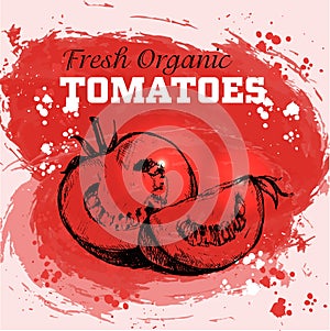 Hand drawn sketch style tomatoes