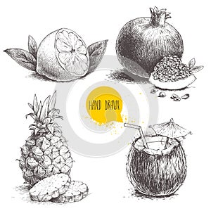 Hand drawn sketch style tropical fruits set isolated on white background. Half of lemon with leaf, coconut cocktail, pineapple wit