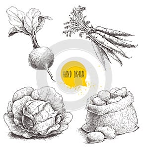 Hand drawn sketch style vegetables set. Cabbage, beet root with leafs, sack with potatoes and bunch of carrot.