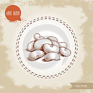 Hand drawn sketch style white beans batch. Vector illustration of healthy diet food isolated on old looking background.