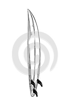 Hand drawn sketch of surf board in black isolated on white background. Detailed vintage etching style drawing.