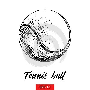 Hand drawn sketch of tennis ball in black isolated on white background. Detailed vintage etching style drawing.