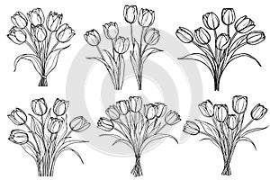 Hand drawn and sketch tulips flower bouquet. Black and white with line art vector illustration