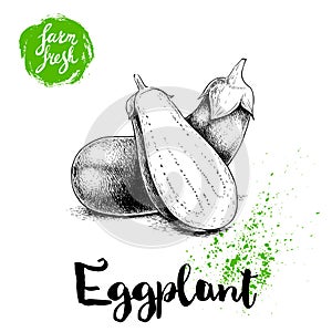 Hand drawn sketch whole eggplants with hal cut aubergine composition. Illustration isolated on white background.