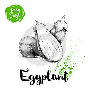 Hand drawn sketch whole eggplants with hal cut aubergine composition. Illustration isolated on white background. photo
