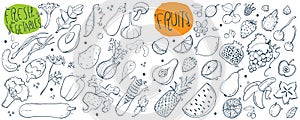 Hand drawn sketches for fresh fruits and vegetables. Illustration.