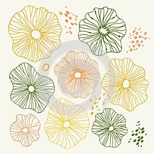 Hand-Drawn Sketchy Doodle Design Elements with Flowers, circles. Natural Colors Abstract Vector Illustration Background.