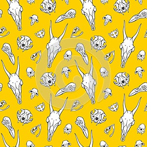 Hand drawn skulls of witch animals seamless pattern photo