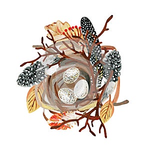 Hand-drawn small bird`s nest with spotted feathers, eggs, branch and berries