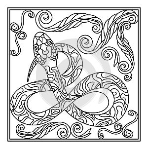 Hand drawn Snake, coloring page , Animalistic illustration . Vector monochrome lineart