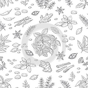 Hand drawn spices pattern. Herbs and vegetables seamless background, Asian and Indian cuisine sketch elements. Vector