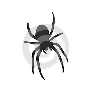 Hand Drawn Spider Illustration - Vector Design Element For Halloween And Other Compositions. spider vector sketch illustration