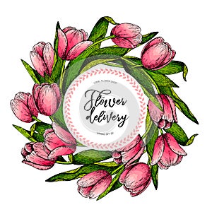 Hand drawn spring floral banner. Colored pink tulip. Flower delivery. Hand drawn detailed engraved illustration. Good