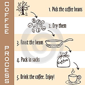 Hand drawn steps of coffee process