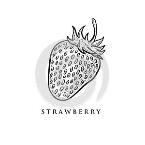 Hand drawn strawberry designs , retor , vintage