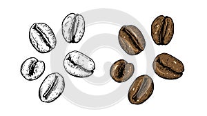 Hand drawn style coffee beans colorful and black color sketch art vector illustration.